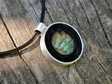 Strandgut_384x288_0053