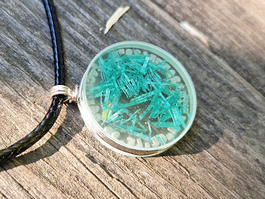 Strandgut_384x288_0001