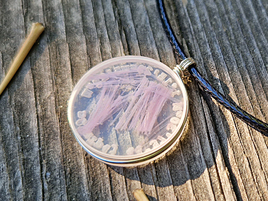 Strandgut_384x288_0004