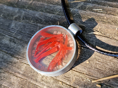 Strandgut_384x288_0008