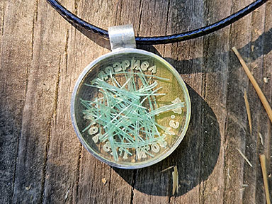 Strandgut_384x288_0055